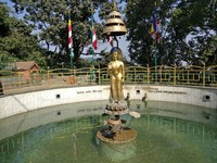 <div id=myiframe><iframe src=http://www.facebook.com/plugins/like.php?href=http%3A%2F%2Fsajha%2Ecom%2Fsajha%2Fhtml%2Findex%2Ecfm%3Frecommendations%3D1%26id%3D190%26photofile%3DIMG%5F20161107%5F114807%2Ejpg&layout=standard&show_faces=false&share=true&width=450&action=like&colorscheme=dark&height=15 scrolling=no frameborder=0 allowTransparency=true></iframe></div>